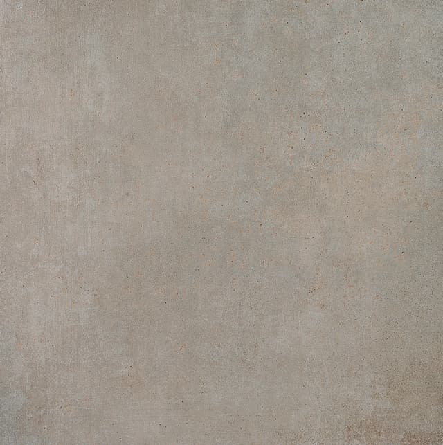 talm gris